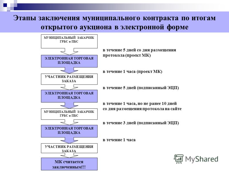 Подписание проекта контракта участником по 44 фз срок